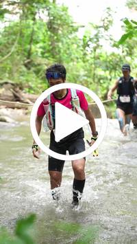 BIB:  <button type="button" onclick="openModal(26820880)" class="btn btn-primary btn-sm float-right" data-toggle="modal" data-target=".modal-high-quality">
                <i class="fa fa-download"></i> Download
                </button>